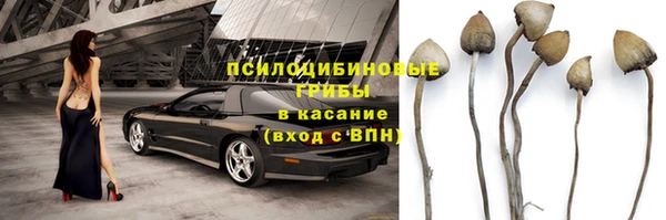 гидра Волоколамск