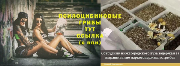 каннабис Арсеньев