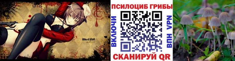 Купить закладки  Арск  Галлюциногенные грибы мицелий 